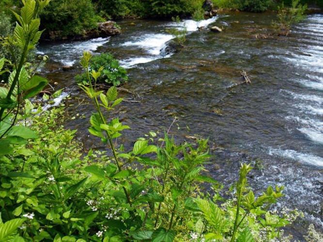 Apartman Cherry Gradac Valjevo Buitenkant foto