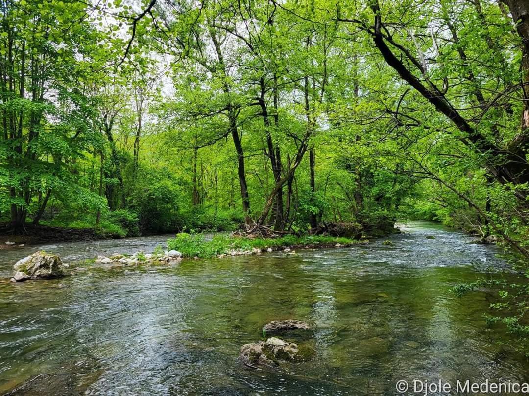 Apartman Cherry Gradac Valjevo Buitenkant foto